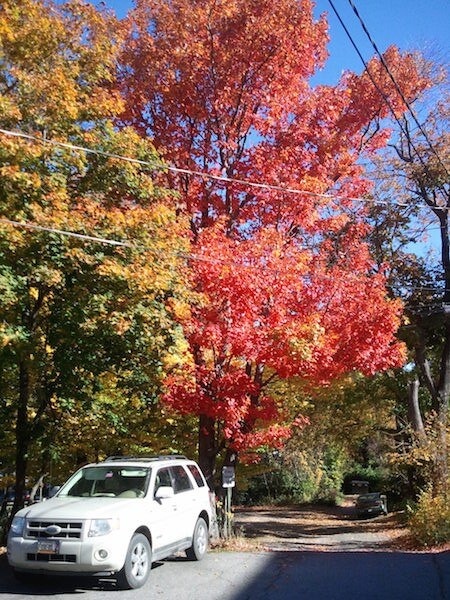 Bar Harbor