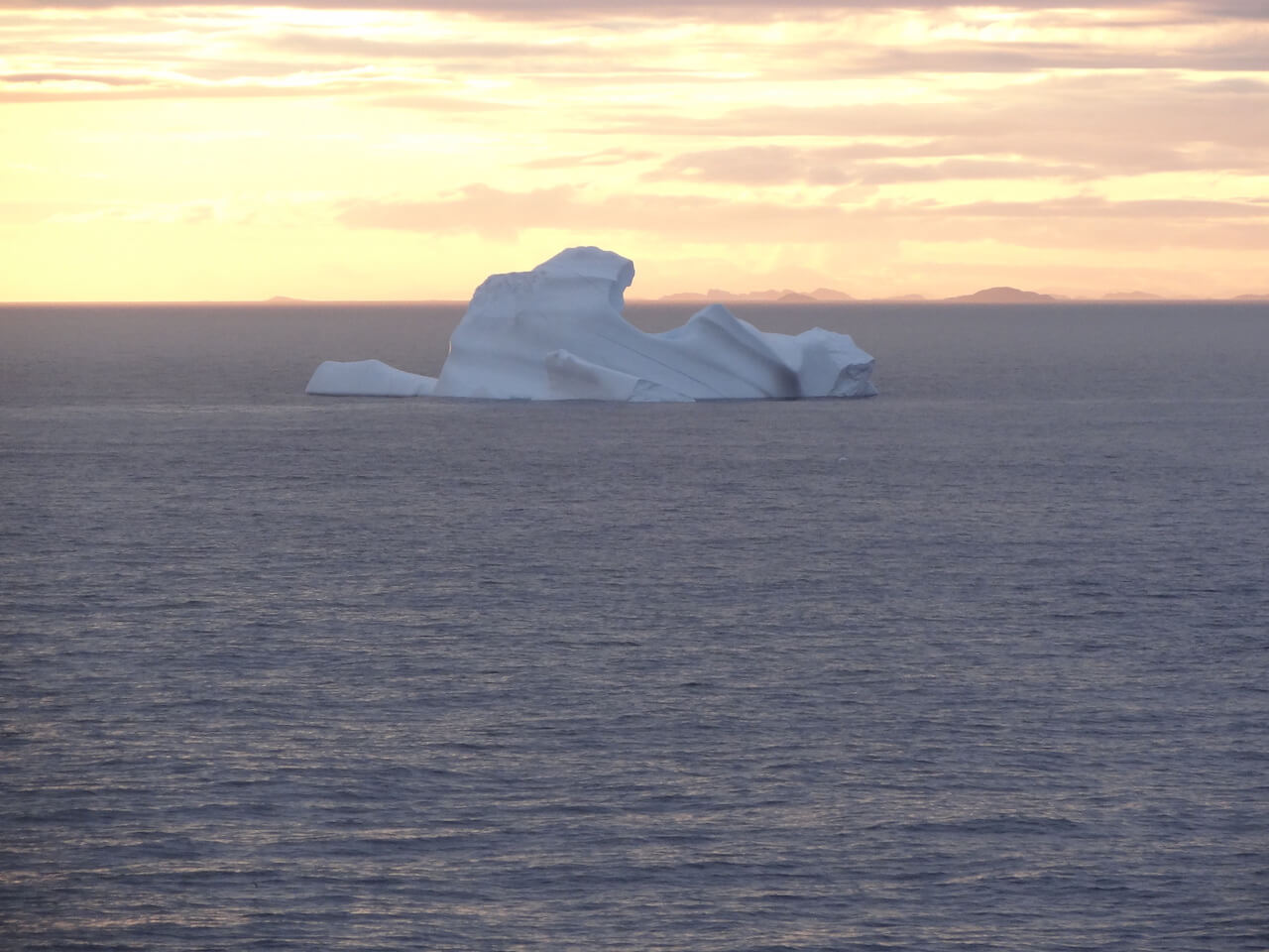 Iceberg